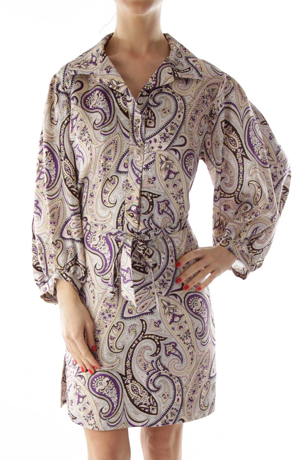 Beige and Purple Paisely Silk Dress Front