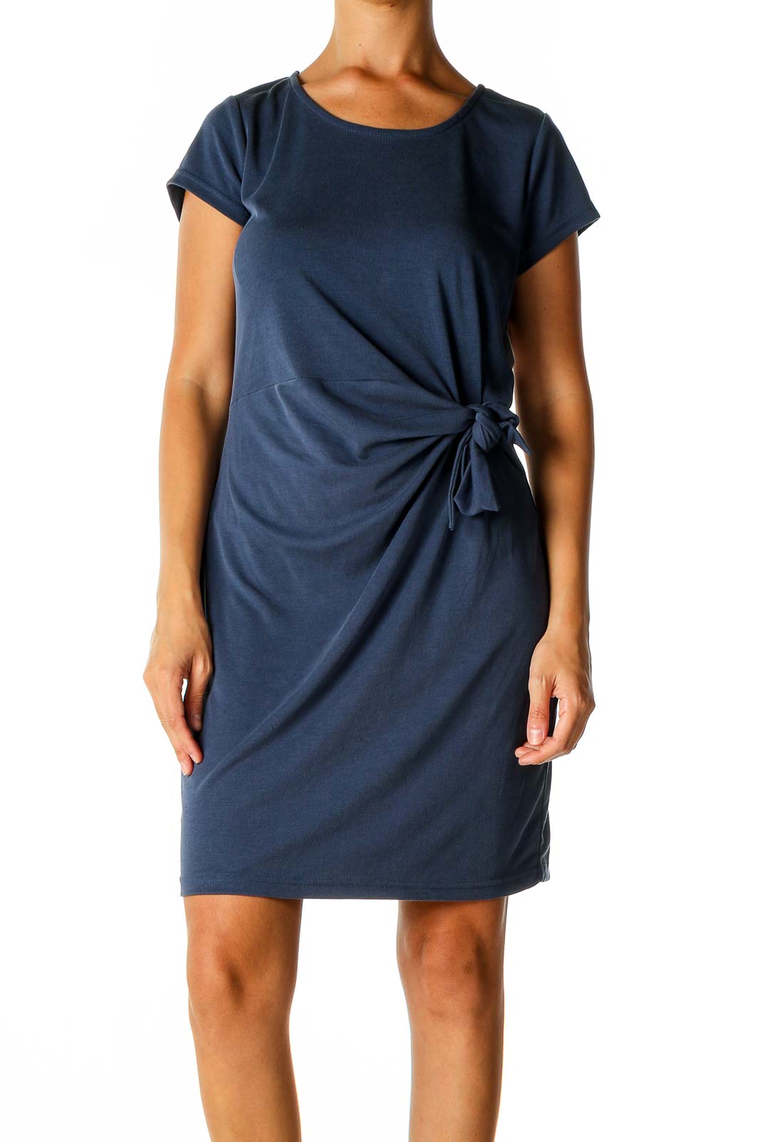 Blue Solid Day Sheath Dress Front