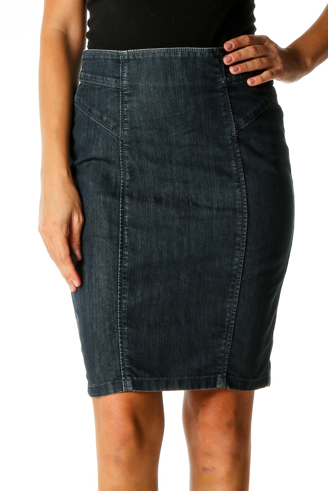 Blue Casual Pencil Skirt Front