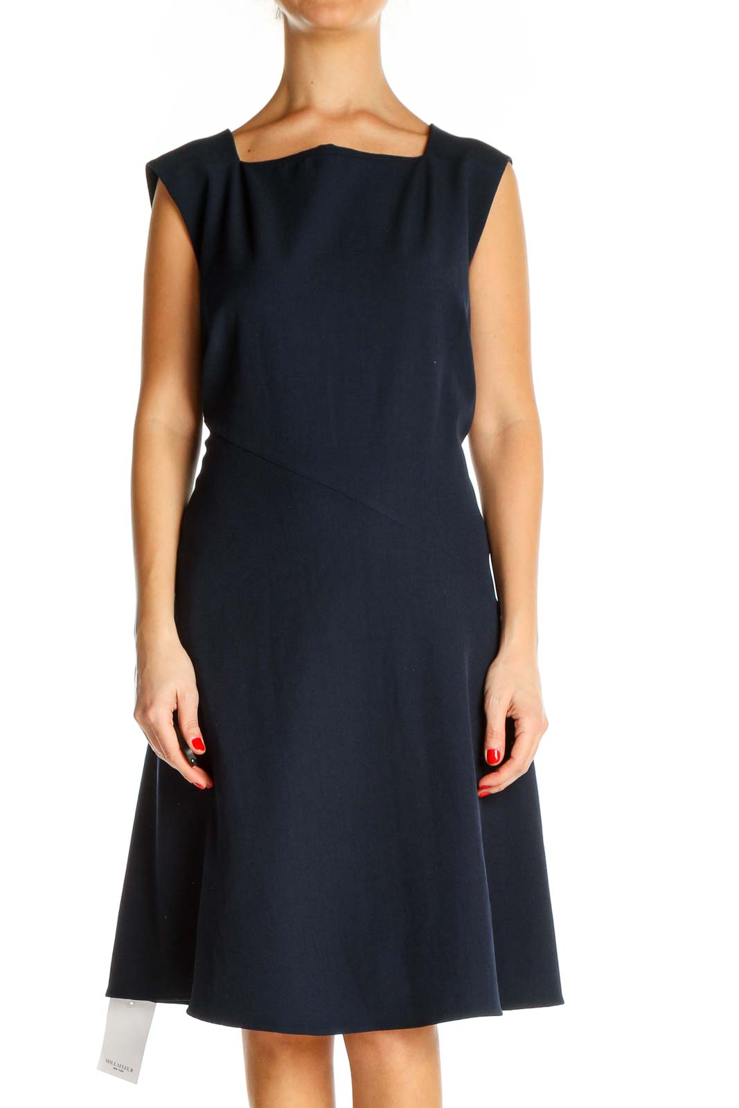 Blue Solid Classic Fit & Flare Dress Front