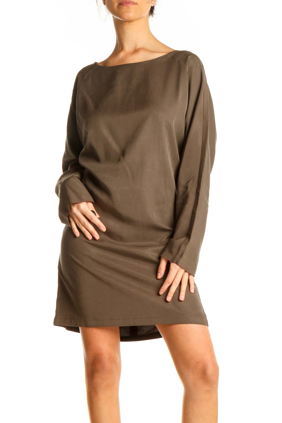 Brown Day Sheath Dress Front