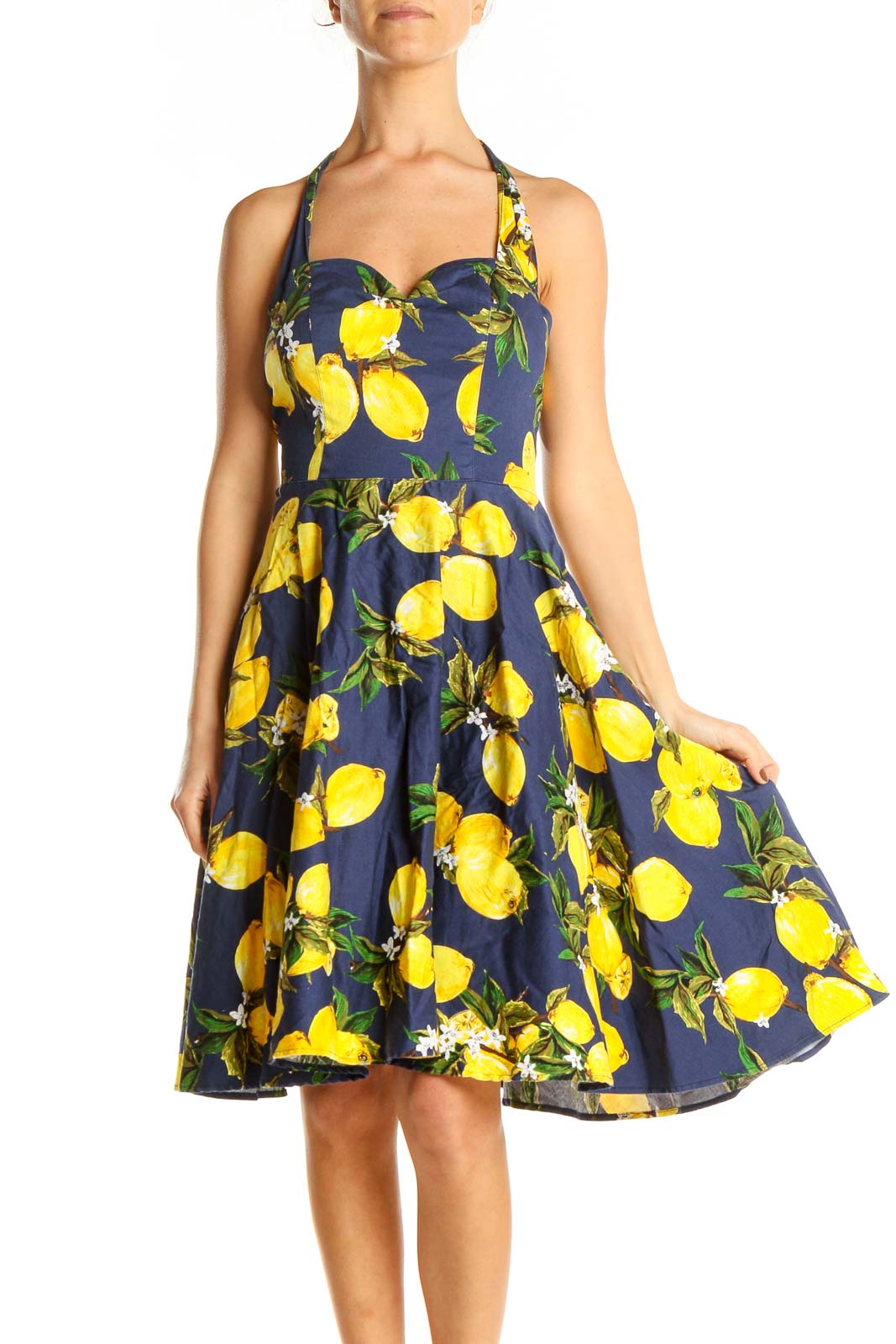 Blue Yellow Printed Retro Fit & Flare Dress Front