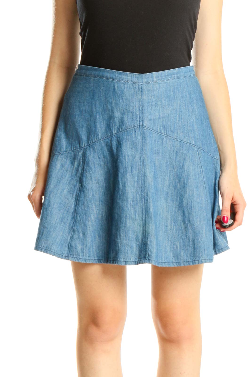 Blue Chic Flared Skater Skirt Front