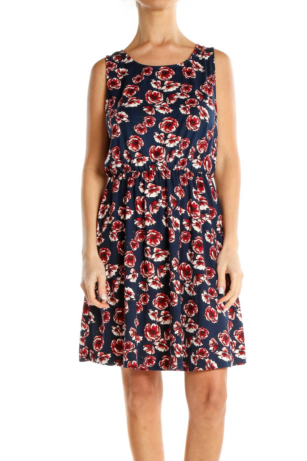Blue Red Floral Print Fit & Flare Dress Front