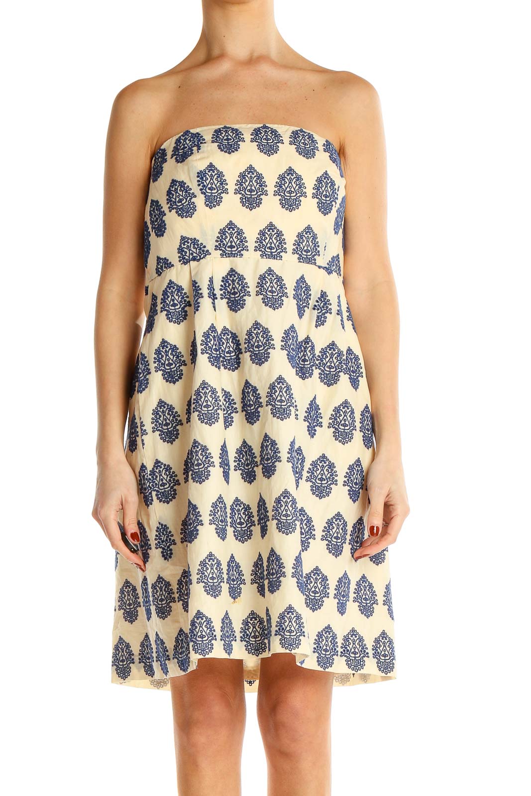 Beige Blue Strapless Printed Fit & Flare Dress Front