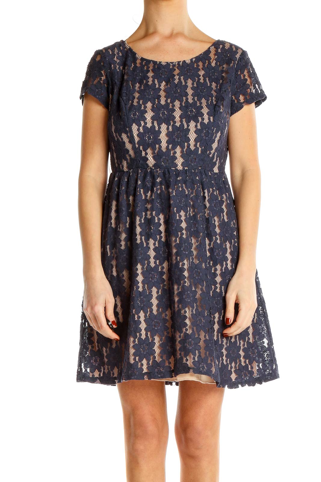 Blue Lace Fit & Flare Dress Front