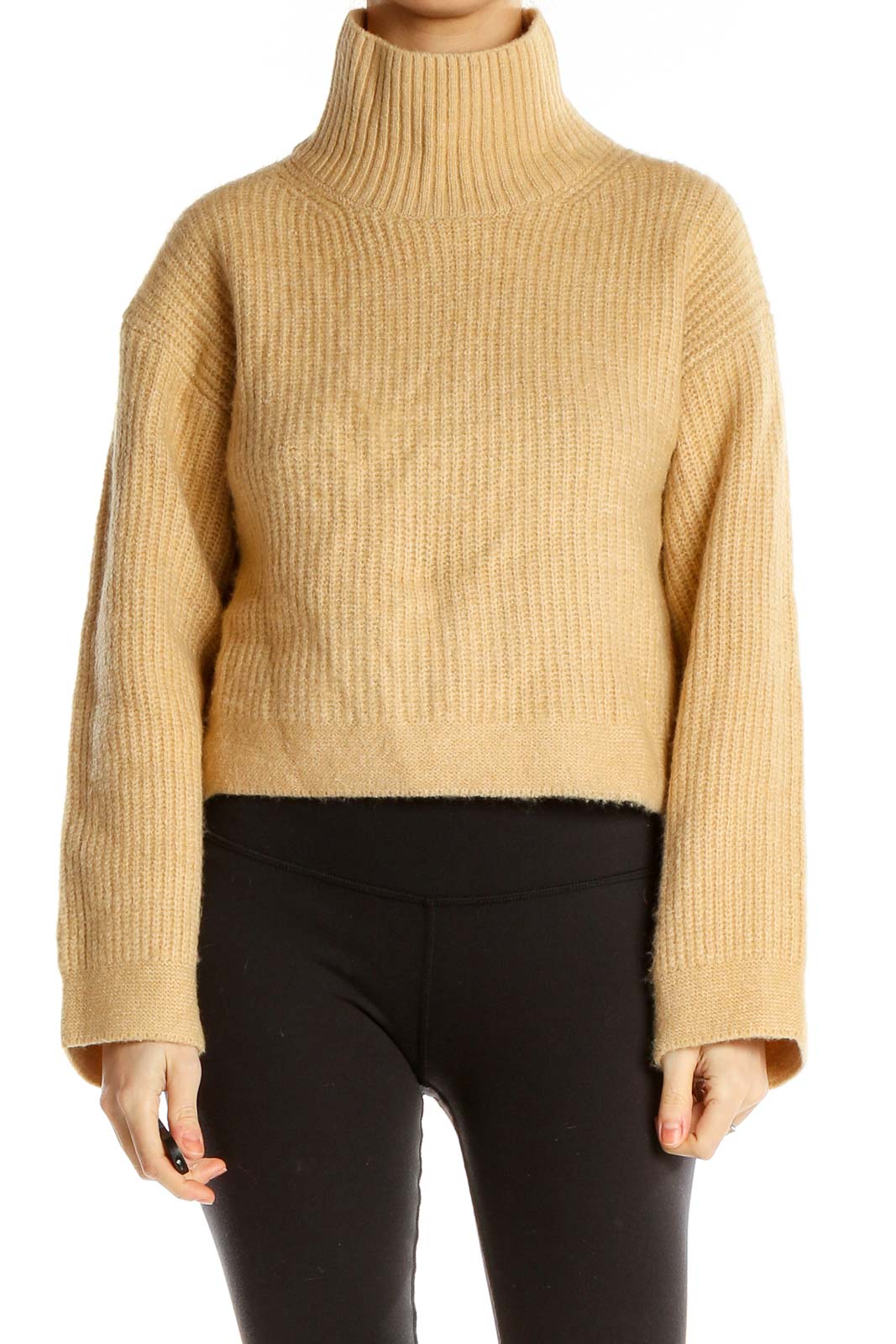 Beige Cropped Turtleneck Sweater Front