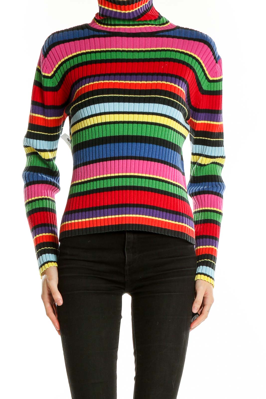 Multicolor Striped Turtle Neck Sweater Front