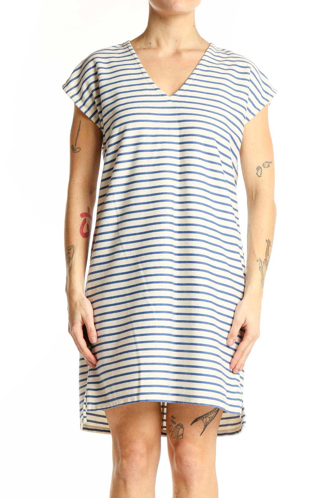 Blue and White Striped V-Neck Shift Dress Front